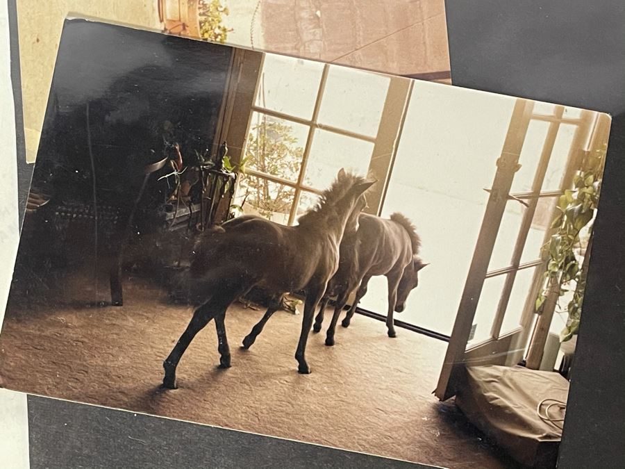 Actress Carole Mathews Old Hollywood Personal Scrapbook With Photos And Clippings #1 [Photo 9]