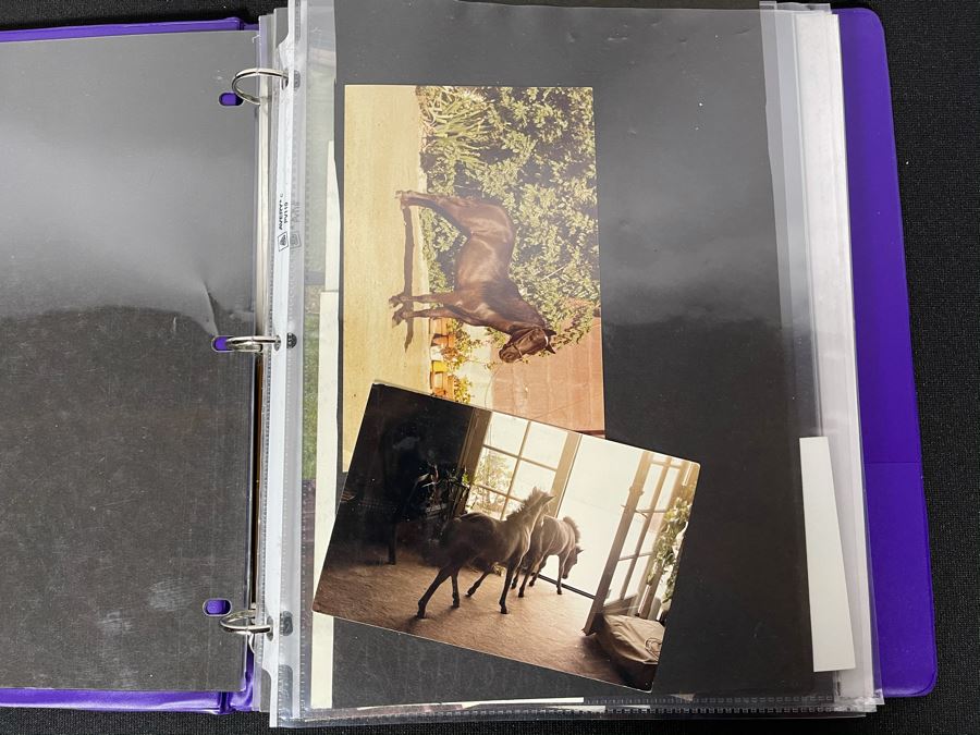 Actress Carole Mathews Old Hollywood Personal Scrapbook With Photos And Clippings #1 [Photo 8]