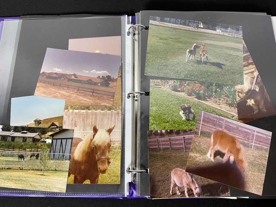 Actress Carole Mathews Old Hollywood Personal Scrapbook With Photos And Clippings #1 [Photo 7]