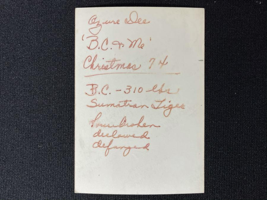 Vintage 1974 Mind-Blowing Photo Signed By Azure Dee Titled B.C. & Me Showing Azure Petting 310lb Sumatran Tiger 3.5 X 5 [Photo 7]