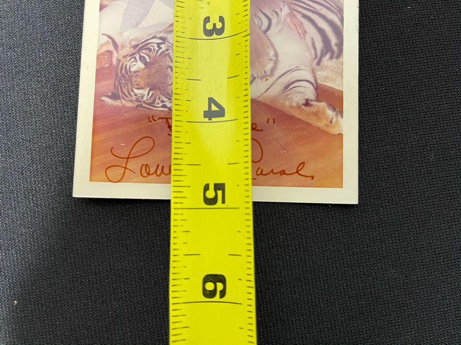 Vintage 1974 Mind-Blowing Photo Signed By Azure Dee Titled B.C. & Me Showing Azure Petting 310lb Sumatran Tiger 3.5 X 5 [Photo 9]