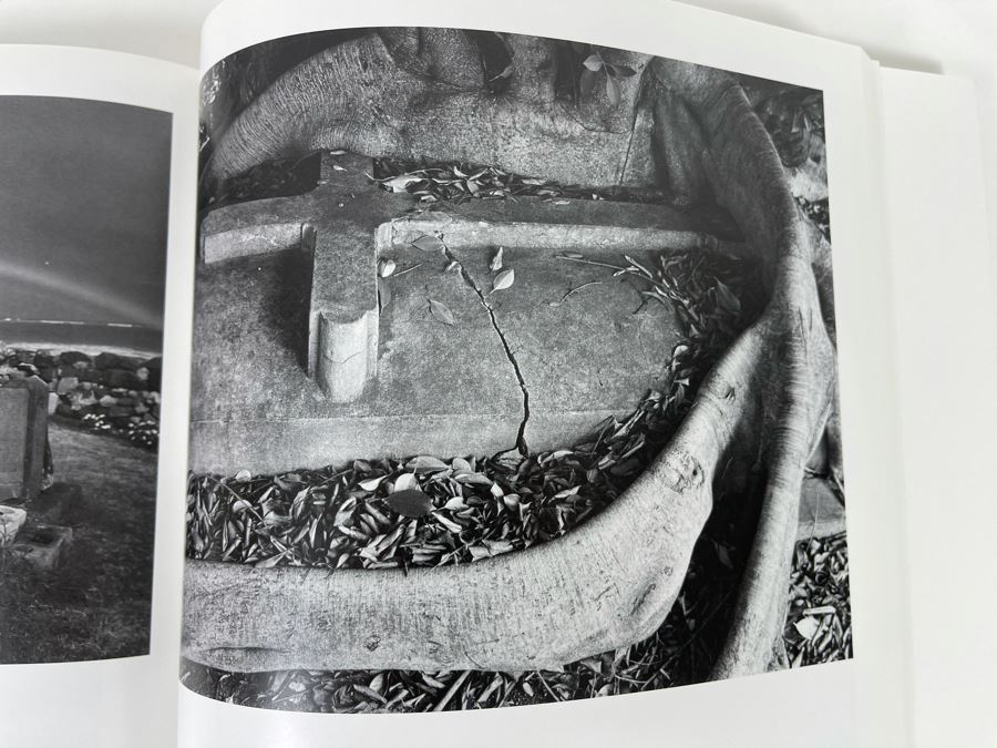 First Printing Book Georgia O'Keeffe And Ansel Adams The Hawaii Pictures [Photo 7]