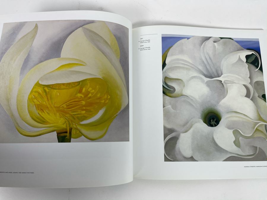 First Printing Book Georgia O'Keeffe And Ansel Adams The Hawaii Pictures [Photo 5]