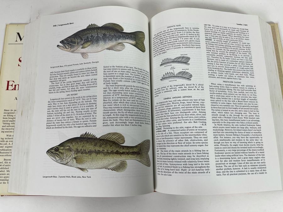 JUST ADDED - Large Second Edition 1974 Reference Book: McClane's Standard Fishing Encyclopedia [Photo 7]