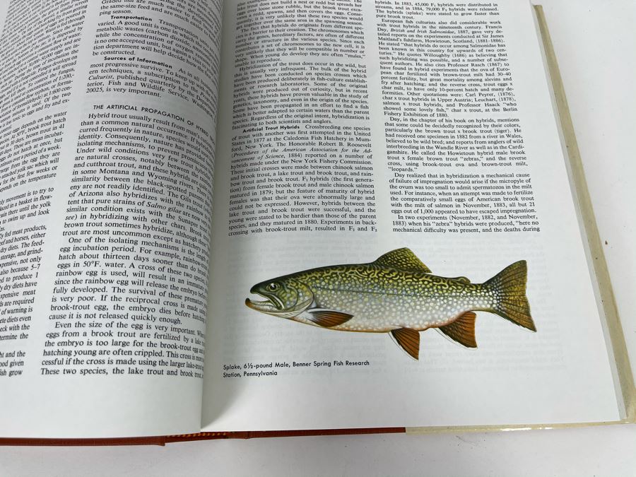 JUST ADDED - Large Second Edition 1974 Reference Book: McClane's Standard Fishing Encyclopedia [Photo 6]