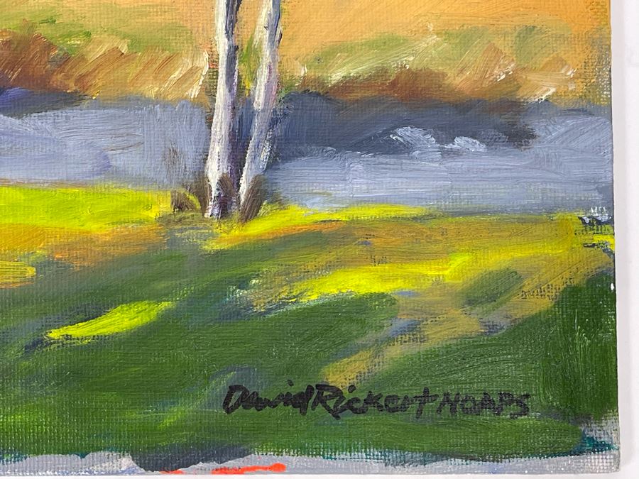 Original Plein Air Painting Of Buena Vista Lagoon In Carlsbad / Oceanside By Local California Impressionist Artist David Rickert (One Of His First Plein Air California Paintings) 11 X 14 [Photo 5]