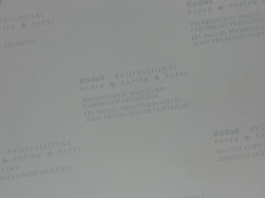 Hand Signed Early Pamela Anderson Nude Photograph Autographed With Certificate Of Authenticity 8 X 10 (Main Image Blurred - See Details) [Photo 8]