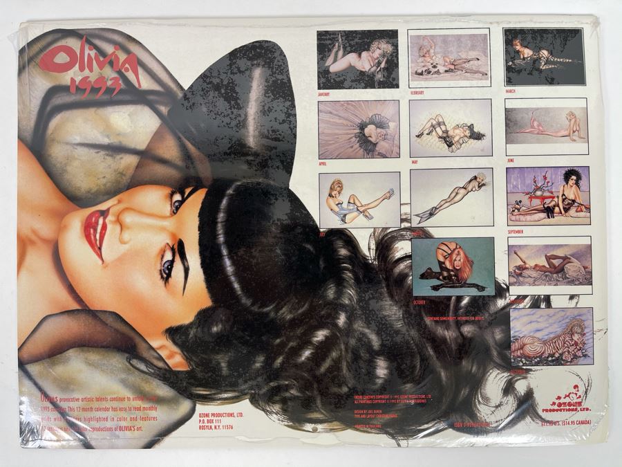 Olivia de Berardinis 1999 Sealed Pin-Up Girl Calendar [Photo 3]
