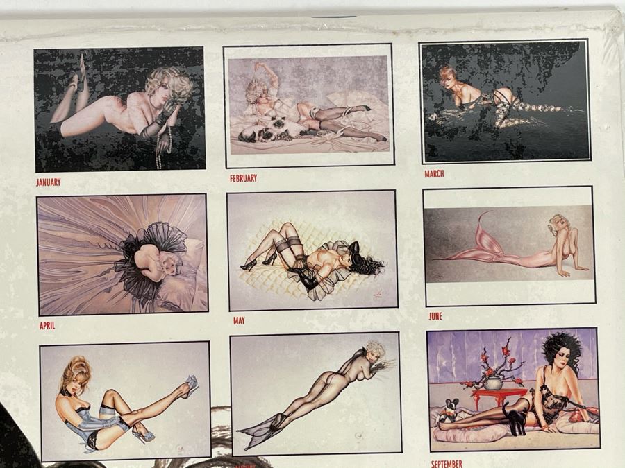 Olivia de Berardinis 1999 Sealed Pin-Up Girl Calendar [Photo 4]