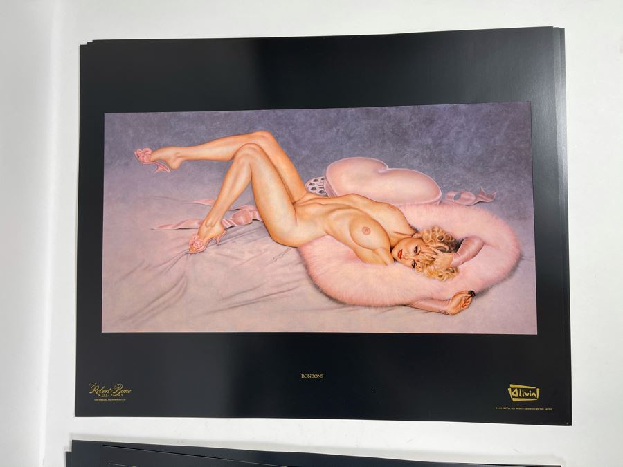 Signed Olivia de Berardinis The Pin-Up Collection Limited Edition Portfolio #2525/4000 (Robert Bane Edition, 1993) Eleven 16' X 20' Color Plates Total Plus Signed Cover Plate (Missing One Plate) 12 Plates Total - See Photos [Photo 24]