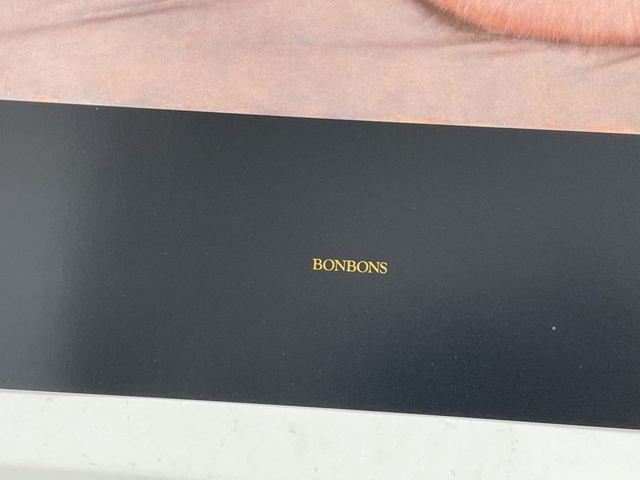 Signed Olivia de Berardinis The Pin-Up Collection Limited Edition Portfolio #2525/4000 (Robert Bane Edition, 1993) Eleven 16' X 20' Color Plates Total Plus Signed Cover Plate (Missing One Plate) 12 Plates Total - See Photos [Photo 25]