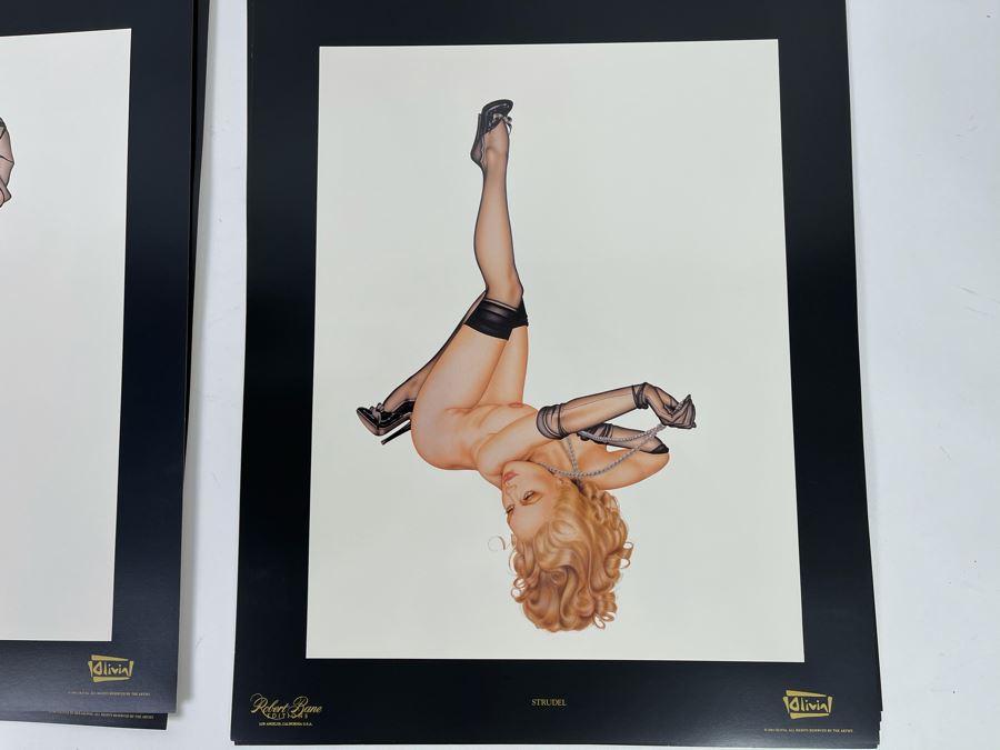 Signed Olivia de Berardinis The Pin-Up Collection Limited Edition Portfolio #2525/4000 (Robert Bane Edition, 1993) Eleven 16' X 20' Color Plates Total Plus Signed Cover Plate (Missing One Plate) 12 Plates Total - See Photos [Photo 10]