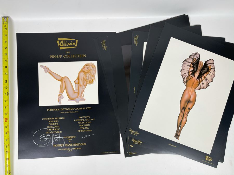 Signed Olivia de Berardinis The Pin-Up Collection Limited Edition Portfolio #2525/4000 (Robert Bane Edition, 1993) Eleven 16' X 20' Color Plates Total Plus Signed Cover Plate (Missing One Plate) 12 Plates Total - See Photos [Photo 3]
