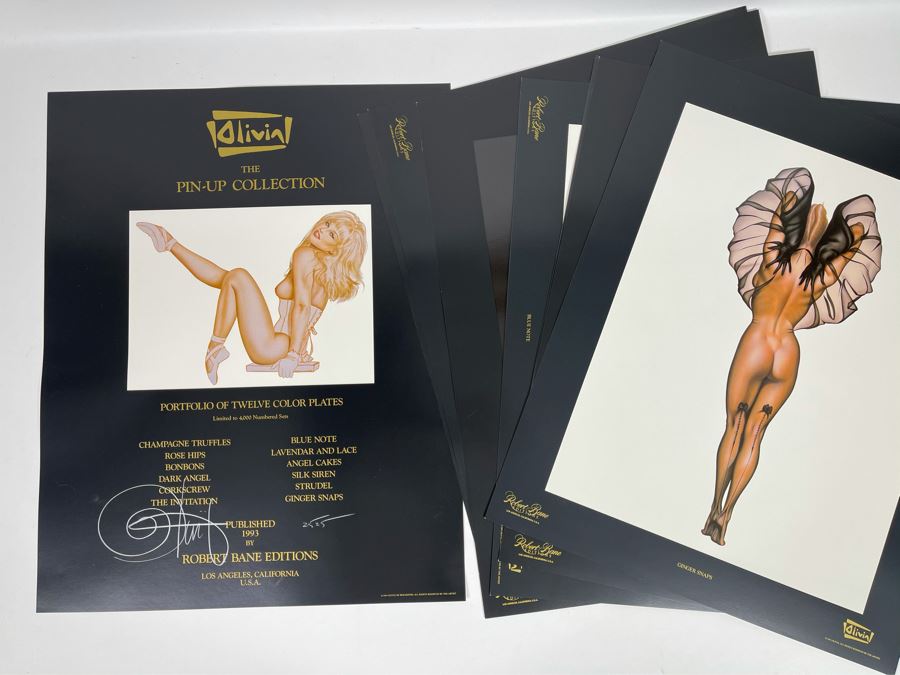 Signed Olivia de Berardinis The Pin-Up Collection Limited Edition Portfolio #2525/4000 (Robert Bane Edition, 1993) Eleven 16' X 20' Color Plates Total Plus Signed Cover Plate (Missing One Plate) 12 Plates Total - See Photos [Photo 2]