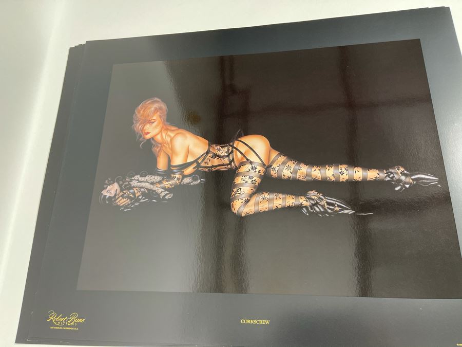 Signed Olivia de Berardinis The Pin-Up Collection Limited Edition Portfolio #2525/4000 (Robert Bane Edition, 1993) Eleven 16' X 20' Color Plates Total Plus Signed Cover Plate (Missing One Plate) 12 Plates Total - See Photos [Photo 20]