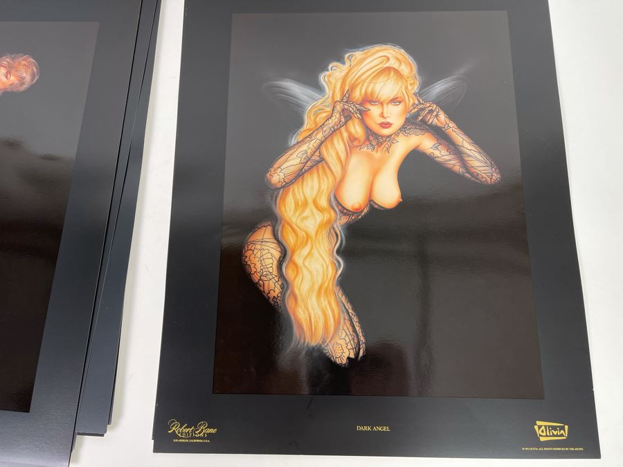 Signed Olivia de Berardinis The Pin-Up Collection Limited Edition Portfolio #2525/4000 (Robert Bane Edition, 1993) Eleven 16' X 20' Color Plates Total Plus Signed Cover Plate (Missing One Plate) 12 Plates Total - See Photos [Photo 22]