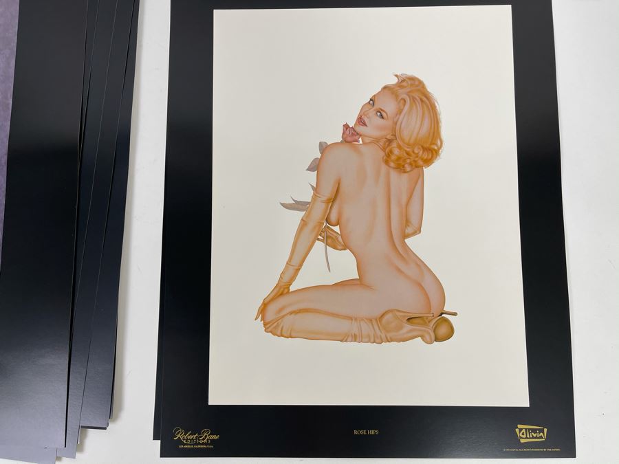 Signed Olivia de Berardinis The Pin-Up Collection Limited Edition Portfolio #2525/4000 (Robert Bane Edition, 1993) Eleven 16' X 20' Color Plates Total Plus Signed Cover Plate (Missing One Plate) 12 Plates Total - See Photos [Photo 26]