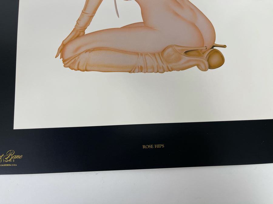 Signed Olivia de Berardinis The Pin-Up Collection Limited Edition Portfolio #2525/4000 (Robert Bane Edition, 1993) Eleven 16' X 20' Color Plates Total Plus Signed Cover Plate (Missing One Plate) 12 Plates Total - See Photos [Photo 27]