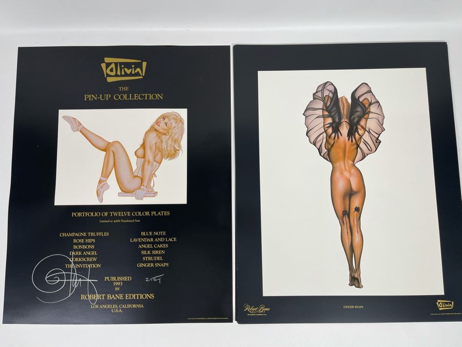 Signed Olivia de Berardinis The Pin-Up Collection Limited Edition Portfolio #2524/4000 (Robert Bane Edition, 1993) Eleven 16' X 20' Color Plates Total Plus Signed Cover Plate (Missing One Plate) 12 Plates Total - See Photos