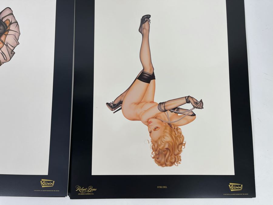Signed Olivia de Berardinis The Pin-Up Collection Limited Edition Portfolio #2524/4000 (Robert Bane Edition, 1993) Eleven 16' X 20' Color Plates Total Plus Signed Cover Plate (Missing One Plate) 12 Plates Total - See Photos [Photo 8]