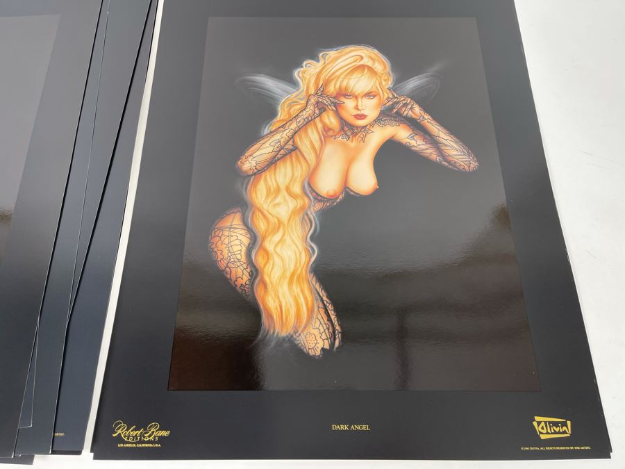 Signed Olivia de Berardinis The Pin-Up Collection Limited Edition Portfolio #2524/4000 (Robert Bane Edition, 1993) Eleven 16' X 20' Color Plates Total Plus Signed Cover Plate (Missing One Plate) 12 Plates Total - See Photos [Photo 14]