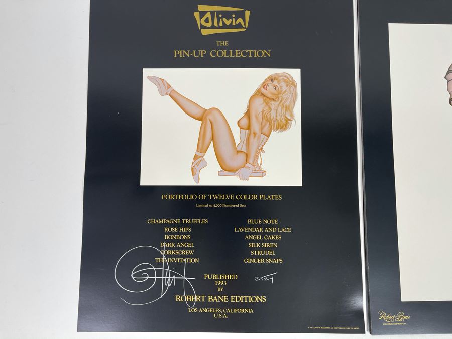 Signed Olivia de Berardinis The Pin-Up Collection Limited Edition Portfolio #2524/4000 (Robert Bane Edition, 1993) Eleven 16' X 20' Color Plates Total Plus Signed Cover Plate (Missing One Plate) 12 Plates Total - See Photos [Photo 2]