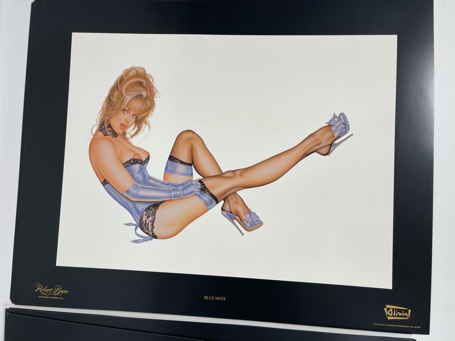 Signed Olivia de Berardinis The Pin-Up Collection Limited Edition Portfolio #2524/4000 (Robert Bane Edition, 1993) Eleven 16' X 20' Color Plates Total Plus Signed Cover Plate (Missing One Plate) 12 Plates Total - See Photos [Photo 11]
