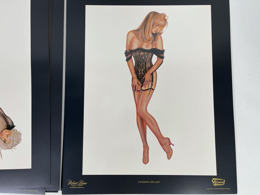 Signed Olivia de Berardinis The Pin-Up Collection Limited Edition Portfolio #2524/4000 (Robert Bane Edition, 1993) Eleven 16' X 20' Color Plates Total Plus Signed Cover Plate (Missing One Plate) 12 Plates Total - See Photos [Photo 10]