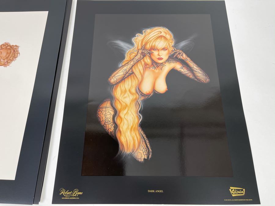 Signed Olivia de Berardinis The Pin-Up Collection Limited Edition Portfolio #2525/4000 (Robert Bane Edition, 1993) Eleven 16' X 20' Color Plates Total Plus Signed Cover Plate (Missing Six Plates) 7 Plates Total - See Photos [Photo 11]