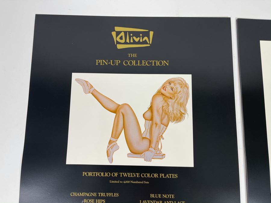 Signed Olivia de Berardinis The Pin-Up Collection Limited Edition Portfolio #2525/4000 (Robert Bane Edition, 1993) Eleven 16' X 20' Color Plates Total Plus Signed Cover Plate (Missing Six Plates) 7 Plates Total - See Photos [Photo 2]
