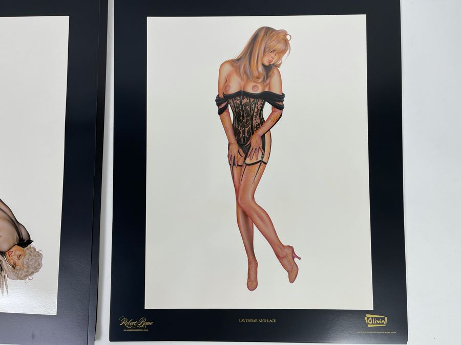 Signed Olivia de Berardinis The Pin-Up Collection Limited Edition Portfolio #2525/4000 (Robert Bane Edition, 1993) Eleven 16' X 20' Color Plates Total Plus Signed Cover Plate (Missing Six Plates) 7 Plates Total - See Photos [Photo 8]