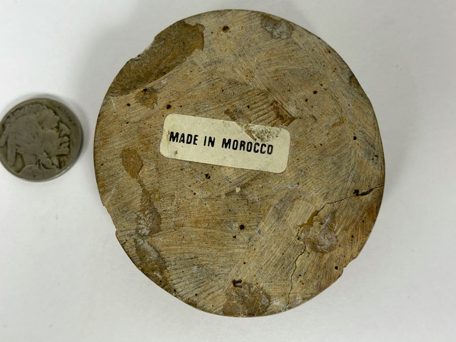 Small Ancient Fossil From Morocco 2.5W [Photo 6]