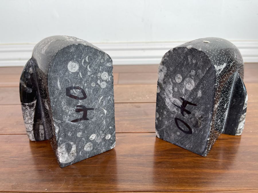Pair Of Ancient Fossil Bookends 7W X 3.5D X 5H [Photo 6]
