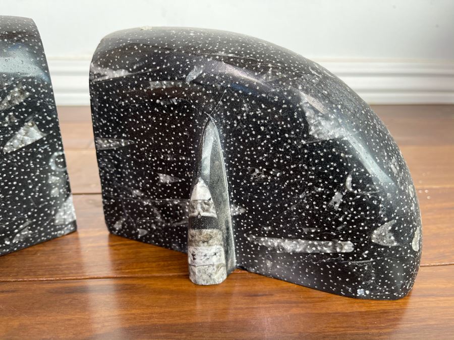 Pair Of Ancient Fossil Bookends 7W X 3.5D X 5H [Photo 5]
