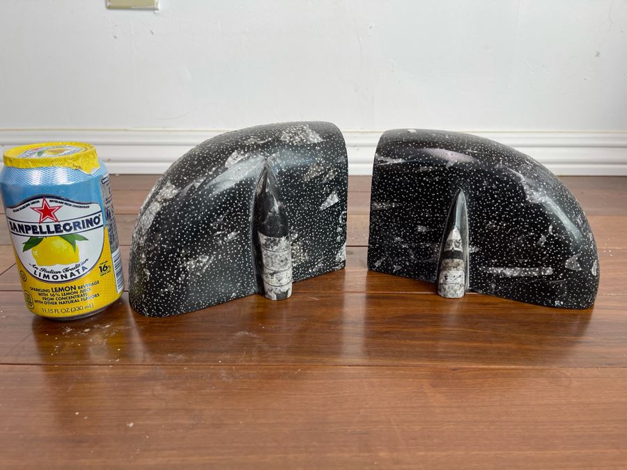 Pair Of Ancient Fossil Bookends 7W X 3.5D X 5H [Photo 3]