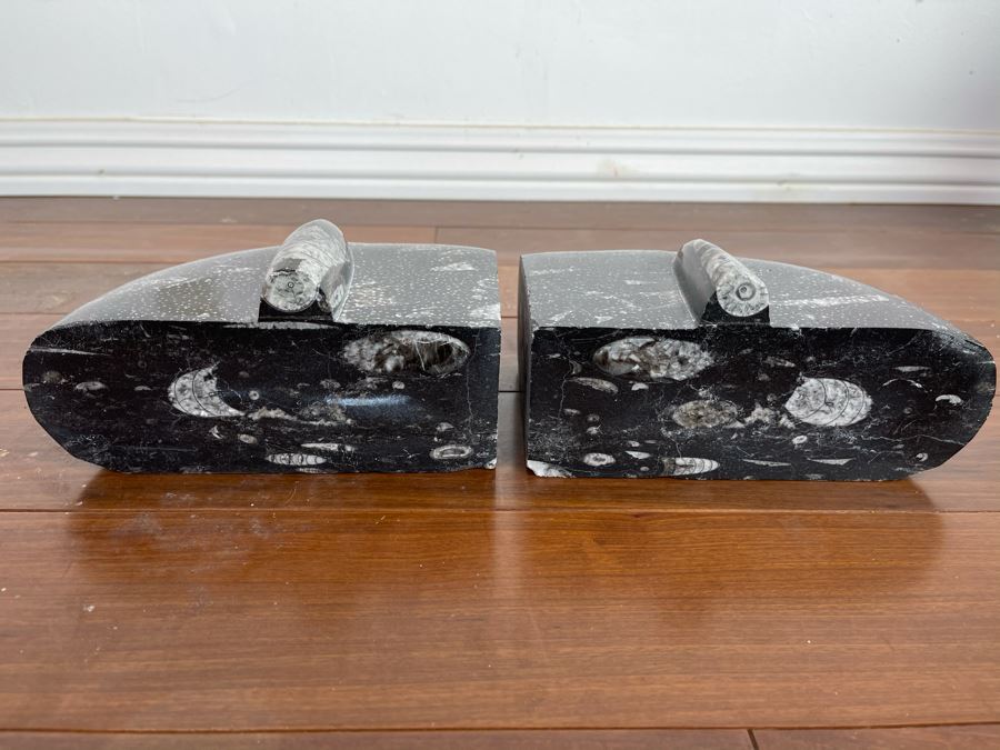 Pair Of Ancient Fossil Bookends 7W X 3.5D X 5H [Photo 8]