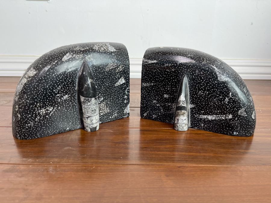 Pair Of Ancient Fossil Bookends 7W X 3.5D X 5H [Photo 2]