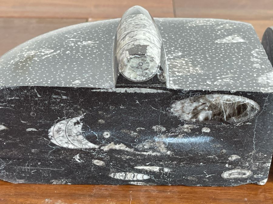 Pair Of Ancient Fossil Bookends 7W X 3.5D X 5H [Photo 11]