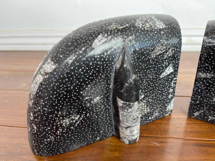 Pair Of Ancient Fossil Bookends 7W X 3.5D X 5H [Photo 4]