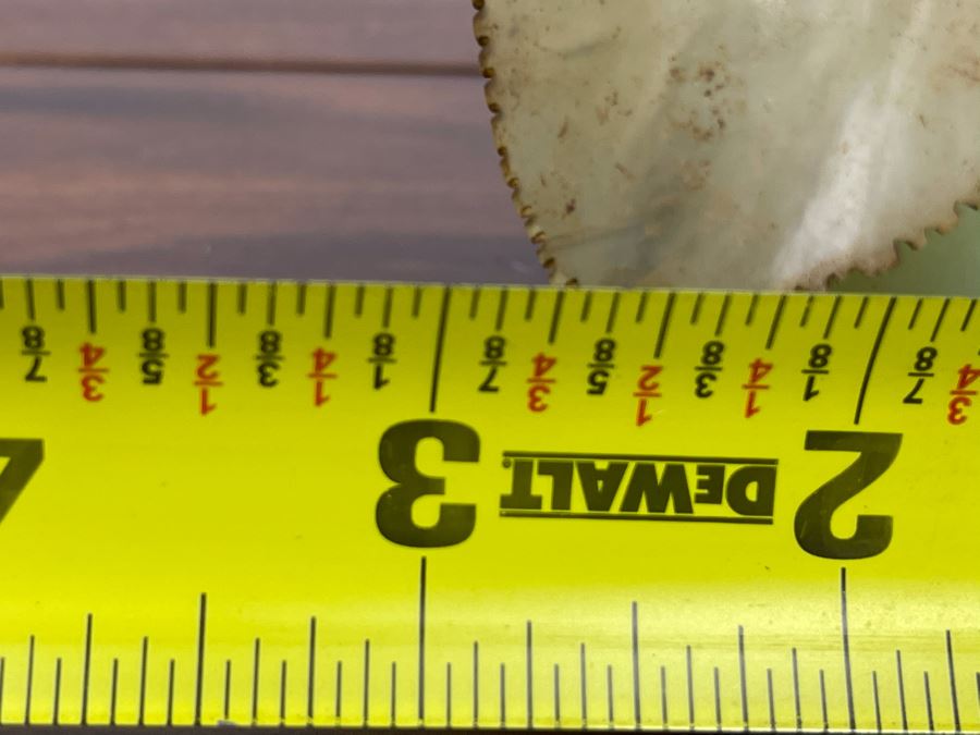 Vintage Jade Apple Fruit 3W X 3H [Photo 9]