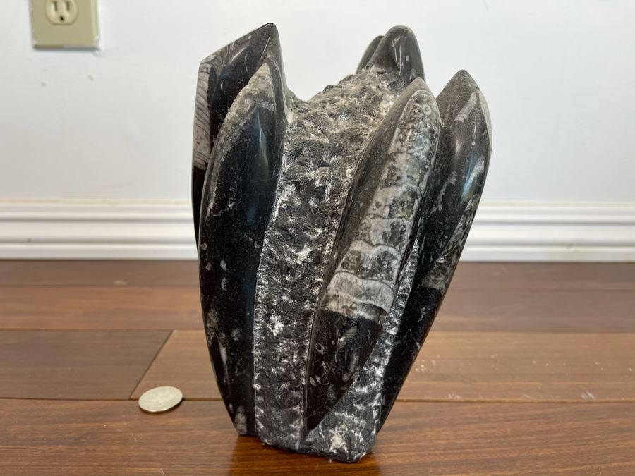 Ancient Fossil Sculpture From Morocco 6W X 5D X 8H [Photo 3]
