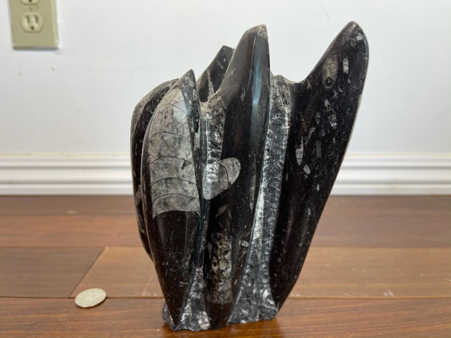 Ancient Fossil Sculpture From Morocco 6W X 5D X 8H [Photo 9]