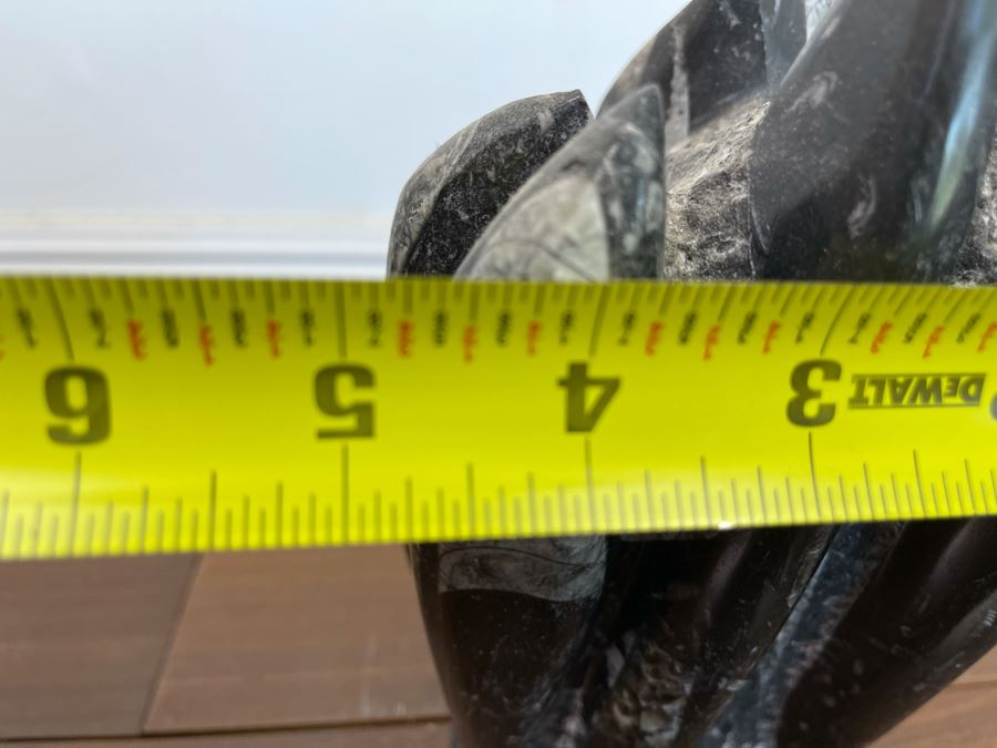 Ancient Fossil Sculpture From Morocco 6W X 5D X 8H [Photo 14]