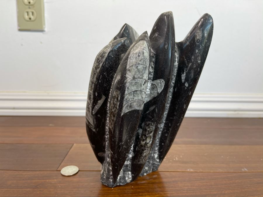 Ancient Fossil Sculpture From Morocco 6W X 5D X 8H [Photo 2]