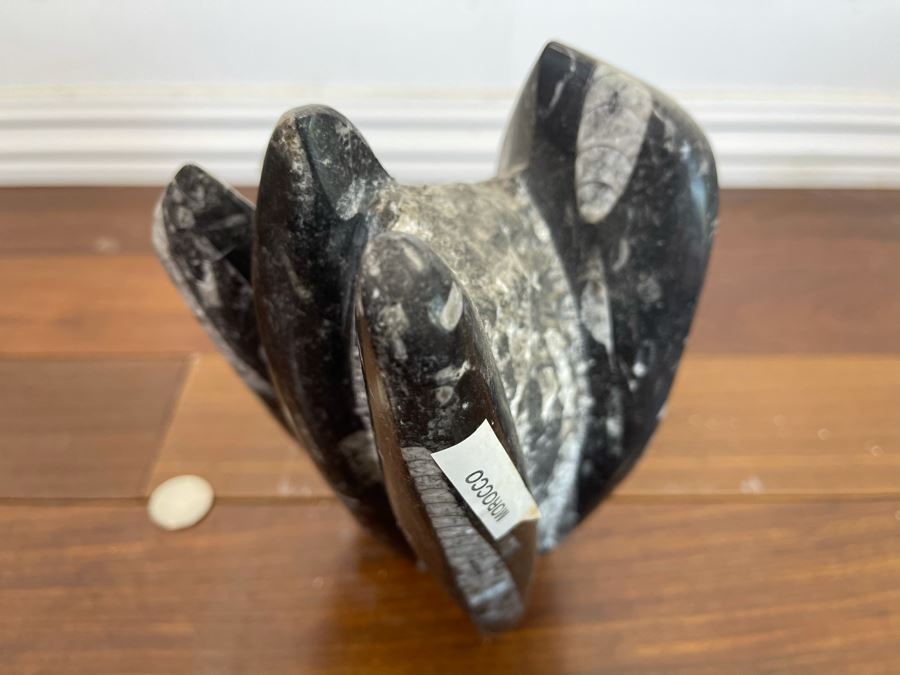 Ancient Fossil Sculpture From Morocco 6W X 5D X 8H [Photo 8]