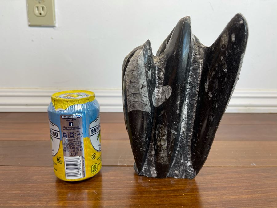 Ancient Fossil Sculpture From Morocco 6W X 5D X 8H [Photo 12]