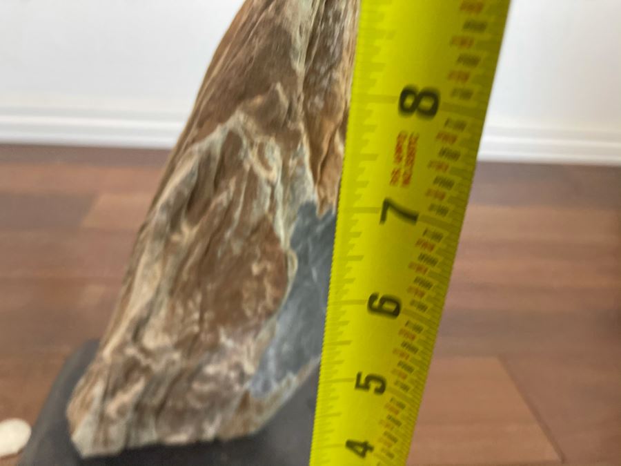 Petrified Wood Sculpture On Wooden Stand 6.5W X 4D X 10.5H [Photo 15]