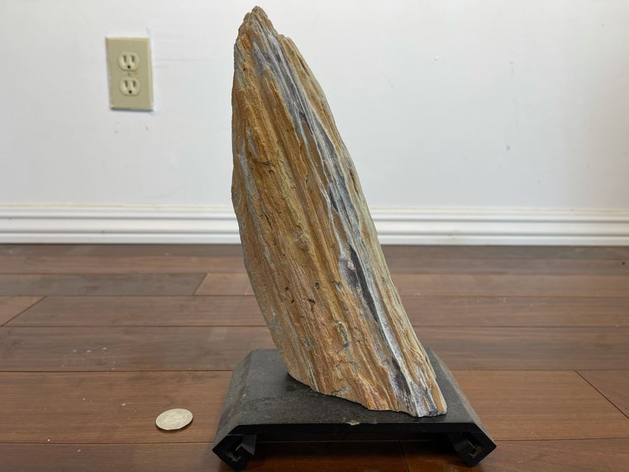 Petrified Wood Sculpture On Wooden Stand 6.5W X 4D X 10.5H [Photo 6]