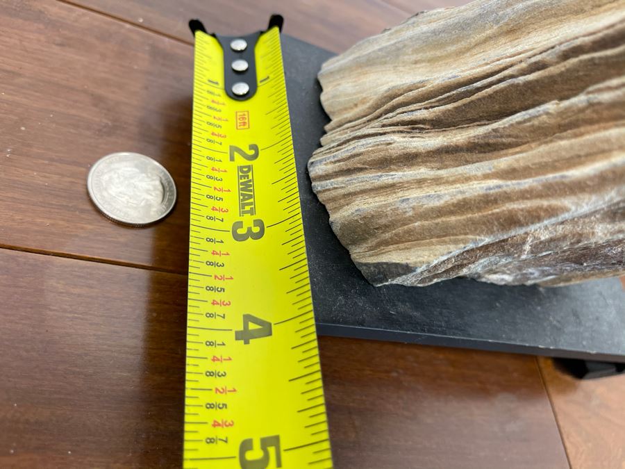 Petrified Wood Sculpture On Wooden Stand 6.5W X 4D X 10.5H [Photo 13]