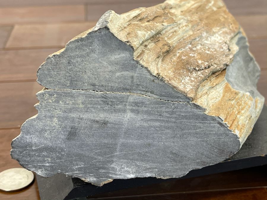 Petrified Wood Sculpture On Wooden Stand 6.5W X 4D X 10.5H [Photo 11]